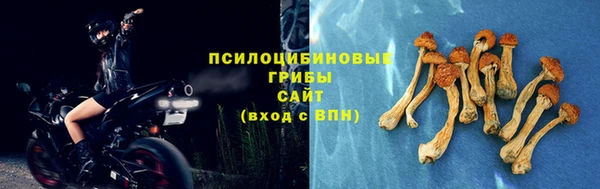 MESCALINE Новозыбков