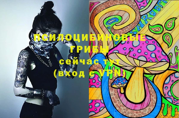 дмт Алексеевка