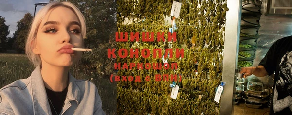 дурь Алексин