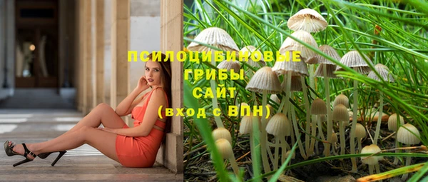 дурь Алексин