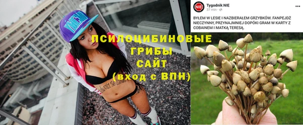 дурь Алексин