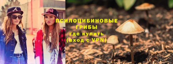 дурь Алексин