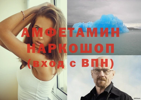 стафф Новодвинск
